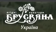 Саженцы малины Брусиловский стандарт