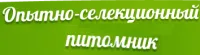 Саженцы малины Атлант