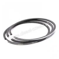 Кольца поршневые IHC 100 mm 3218669R91 P