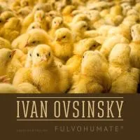 Стимулятор роста - кормовая добавка с аминокислотами для откорма цыплят бройлеров